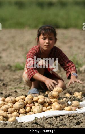 Bildnummer: 53975329 Datum: 24.04.2010 Copyright: imago/Xinhua (100425) -- KATHMANDU, April 25 (Xinhua) -- Ein Mädchen sammelt Potatos auf einem Feld in Jageta, 10 Kilometer östlich von Kathmandu, Hauptstadt Nepals, am 24. April 2010. (Xinhua/Bimal Gautam) (gxr) (1)NEPAL-KATHMANDU-POTATO-HARVEST PUBLICATIONxNOTxINxCHN Gesellschaft Wirtschaft Landwirtschaft kbdig xmk 2010 hoch o0 Ernte, Kartoffel, Kartoffelernte, Erntehelfer, Arbeitswelten Bildnummer 53975329 Datum 24 04 2010 Copyright Imago XINHUA Kathmandu April 25 XINHUA Girl Field AT Potata Capital of Potmanda Stockfoto