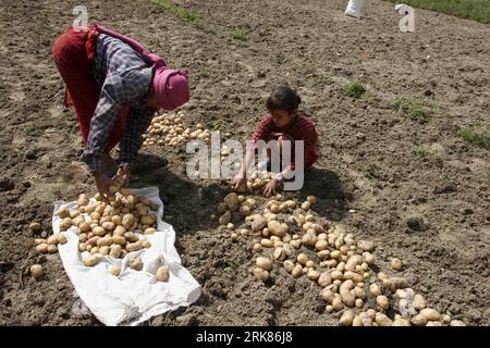 Bildnummer: 53975335 Datum: 24.04.2010 Copyright: imago/Xinhua (100425) -- KATHMANDU, April 25 (Xinhua) -- nepalesische Bauern ernten Potatos auf einem Feld in Jageta, 10 Kilometer östlich von Kathmandu, Hauptstadt Nepals, 24. April 2010. (Xinhua/Bimal Gautam) (gxr) (4)NEPAL-KATHMANDU-POTATO-Harvest PUBLICATIONxNOTxINxCHN Gesellschaft Wirtschaft Landwirtschaft kbdig xmk 2010 quer o0 Ernte, Kartoffel, Kartoffelernte, Erntehelfer, Arbeitswelten Bildnummer 53975335 Datum 24 04 2010 Copyright Imago XINHUA A-Land Kathmandu April 25 XINHUA-Erntehelfer IN OSTKARTOFFEL Stockfoto