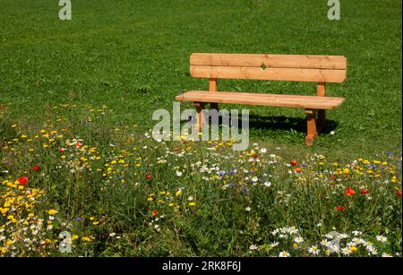 Parkbank aus Holz im Gras vor blühender Blumenwiese Stockfoto
