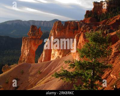 Hoodoos of Bryce Canyon, Utah, Backlit by the early morning sunrise, as seen from the Natural Bridge Viewpoint. Stock Photo