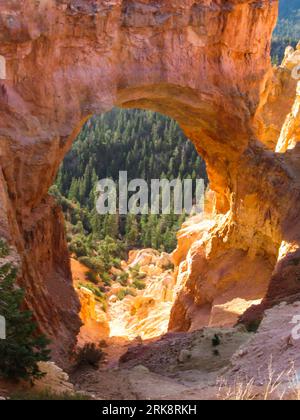 Looking through the Gap of the Natural Bridge Formation, at the pine woodlands, in the early morning in Bryce Canyon National Park, Utah. Stock Photo