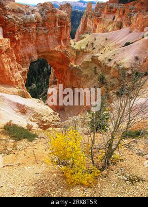 The Natural Arch and rock hoodoos at Natural Bridge Viewpoint in Bryce Canyon, Utah, in the fall Stock Photo