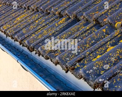 Roof tile with moss lichen over a dirty gutter on a private house roof seen from above Stock Photo