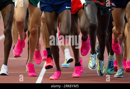 Budapest, Ungarn. August 2023. Leichtathletik: Weltmeisterschaft, 5000m, Männer, Vorlauf, im National Athletics Center. Die Teilnehmer in Aktion. Quelle: Sven Hoppe/dpa/Alamy Live News Stockfoto