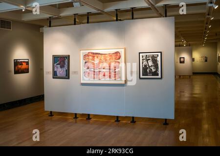 Butler Institute of American Art in Youngstown, Ohio Stockfoto