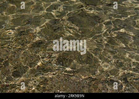 Das Sonnenlicht auf dem klaren Wasser gegen den Sandboden. Stockfoto