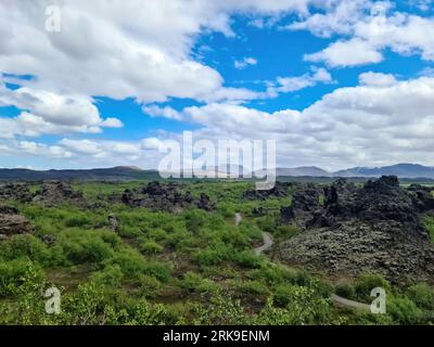 Blick auf die Lavafelder Eines vergangenen Vulkanausbruchs in Island Stockfoto