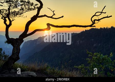 Frühsommer-Morgen im Creux du Van im Neuchâtel Jura der Schweiz Stockfoto