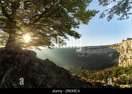 Frühsommer-Morgen im Creux du Van im Neuchâtel Jura der Schweiz Stockfoto