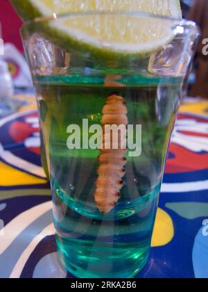 glass with mescal tequila and cactus worm Stock Photo