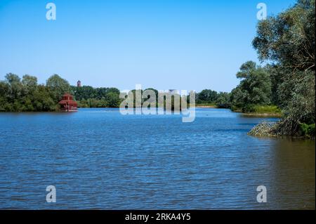 Der Nederrijn, ein Teil des Rheins, umgeben von Wäldern und Heidekraut über blauem Himmel um Arnhem, Gelderland, Niederlande Stockfoto