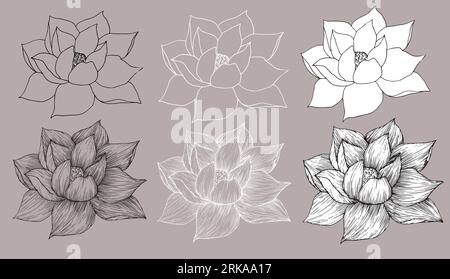 Set von Vektor Hand gezeichnet Lotusblume schwarze Linie Kunst Illustration. Umrisszeichnung mit Blumenmuster für Logo, Tätowierung, Verpackungsdesign, Kompositionen. Wasser Stock Vektor