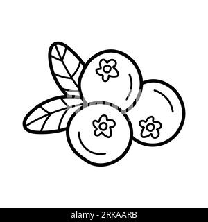 Huckleberry. Kontursymbol mit Beeren und Blättern. Heidelbeeren oder Preiselbeeren im Doodle-Stil. Handgezeichneter Skizzenstil. Vektor-isolierte Abbildung. Stock Vektor