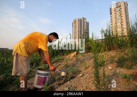 Bildnummer: 54297144 Datum: 13.08.2010 Copyright: imago/Xinhua (100815) -- HANGZHOU, 15. August 2010 (Xinhua) -- Ein Mann mit dem Nachnamen Wang Waters Maiskeimlinge in einem Feld neben einem Wohnhaus im Norden von Hangzhou, Hauptstadt der ostchinesischen Provinz Zhejiang, 13. August 2010. Anwohner in einer Gemeinde im Norden von Hangzhou fanden ein Stück Ödland in der Nähe ihres Gebäudes und verbrachten ihre Freizeit damit, Gemüse darauf zu Pflanzen. Auf diese Weise ernten die Bewohner selbst angebautes Gemüse und genießen ein ländliches Leben in der modernen Stadt. (Xinhua/Xu Yu) CHINA-HANGZHOU-URBAN FARM LIFE (CN) PUBLICA Stockfoto