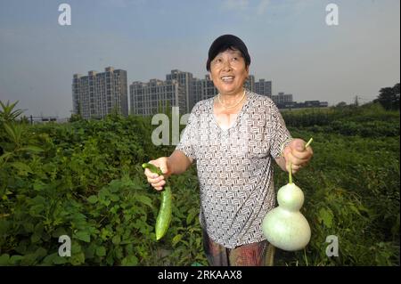 Bildnummer: 54297139  Datum: 15.08.2010  Copyright: imago/Xinhua (100815) -- HANGZHOU, Aug. 15, 2010 (Xinhua) -- A woman surnamed Dai shows cucumber and cucurbit in a field beside an appartment building in northern Hangzhou, capital of east China s Zhejiang Province, Aug. 13, 2010. Local residents in a community in northern Hangzhou found a piece of wasteland near their building and spend their leisure time in planting vegetable on it. In this way, the residents harvest vegetables grown by themselves and enjoy a rural life in the modern city. (Xinhua/Xu Yu) CHINA-HANGZHOU-URBAN FARM LIFE (CN) Stock Photo