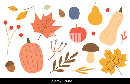 autumn icons collection: pumpkin, leaves, apple, pear, plum, acorn, berries, musroom and others floral elements- vector illustration Stock Vector