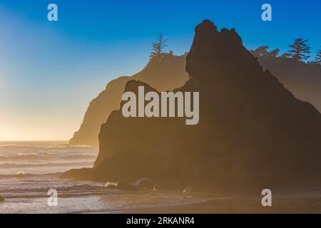 Sea stacks at sunset on Ruby Beach, Olympic National Park, Washington State, USA Stock Photo