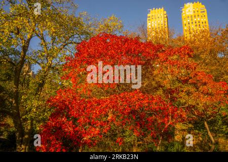 Herbstfarben im Central Park, New York City, New York Stockfoto