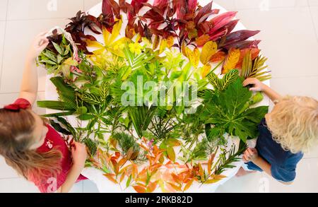 Kids Pick bunte Blätter im Herbst für die Schule Kunst Projekt. Junge und Mädchen machen Bild kleben Blatt in Regenbogenfarben. Handwerk für junge Kinder. Pre Stockfoto