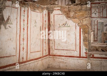 Interior decoration details of Terrace Houses in Ephesus Ancient City. Izmir, Turkey Stock Photo