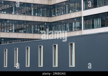 Irene Manton Building, University of Leeds, Vereinigtes Königreich. Stockfoto
