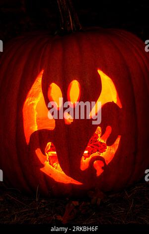 Geist. Geschnitzter Kürbis mit Halloween-Motiv. Das Stoddard Avenue Pumpkin Glow. Dayton, Ohio, USA. Stockfoto