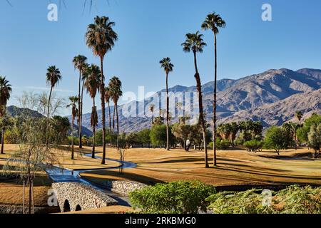 Palm Springs, Kalifornien, USA. Oktober 2015. Neu belegter Golfplatz im Indian Canyons Golf Resort. (Bild: © Ian L. Sitren/ZUMA Press Wire) NUR REDAKTIONELLE VERWENDUNG! Nicht für kommerzielle ZWECKE! Stockfoto