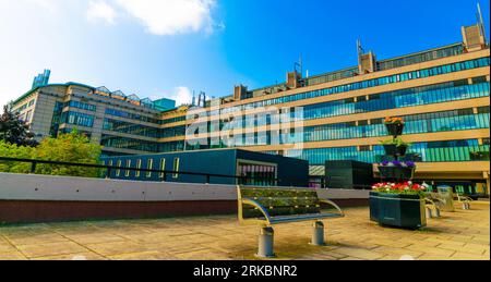 Irene Manton Building, University of Leeds, Vereinigtes Königreich. Stockfoto