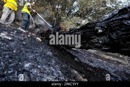 Bildnummer: 54710402  Datum: 05.12.2010  Copyright: imago/Xinhua (101205) -- HAIFA (ISRAEL), Dec. 5, 2010 (Xinhua) -- Two firefighters try to extinguish a forest fire near Isfiya, on Mount Carmel, near Haifa, north Israel, Dec. 5, 2010. After more than three days arduous battle, Israeli firefighting authority announced Sunday afternoon that it had fully contained the inferno, according to local news service Ynet. (Xinhua/Yin Dongxun) (wjd) ISRAEL-FOREST FIRE-CONTROL PUBLICATIONxNOTxINxCHN Gesellschaft Israel Brand Feuer Großbrand premiumd kbdig xkg 2010 quer o0 Waldbrand, Löscharbeiten, Zerstö Stock Photo