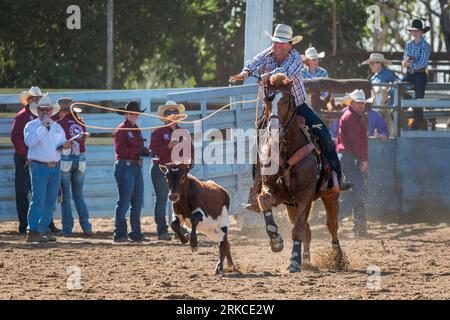 Ein Cowboy wirbelt seine lassoo, während er beim individuellen Rodeo-Event 2023 beim Mareeba Rodeo über das Kalb fährt. Stockfoto