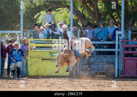 Rodeo-Richter und Support-Crew sehen sich als Konkurrent beim Bull Riding Event aus dem Rodeo shute beim Mareeba Rodeo 2023 an. Stockfoto