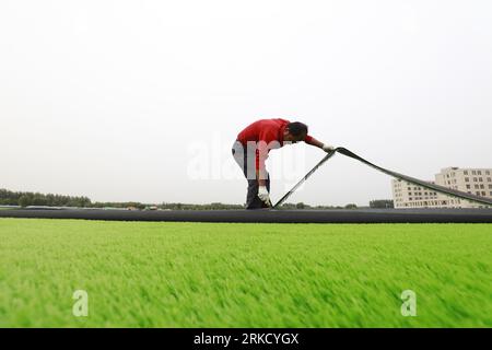 LUANNAN COUNTY - 15. Oktober 2018: Kunstrasen auf einem Sportplatz, Luannan County, Provinz Hebei, China Stockfoto