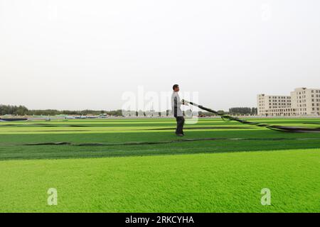 LUANNAN COUNTY - 15. Oktober 2018: Kunstrasen auf einem Sportplatz, Luannan County, Provinz Hebei, China Stockfoto