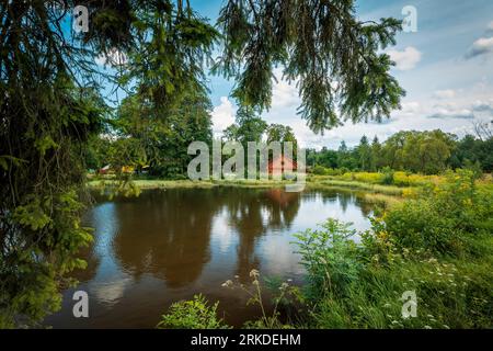 A small rural brown house by a pond surrounded by greenery. Beautiful rural landscape. Roztocze, Poland Stockfoto