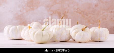 Herbstrandanordnung weißer Kürbisse Stockfoto