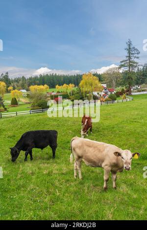 Das Capernwray Harbour Bible Center auf Thetis Island, Vancouver Island, British Columbia, Kanada. Stockfoto