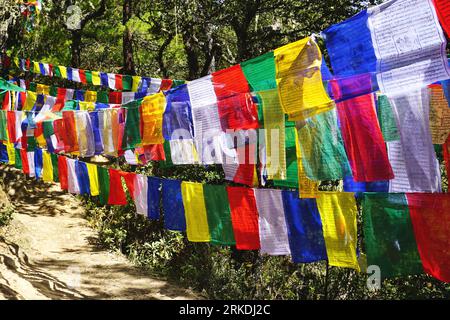 An einem sonnigen Herbstmorgen hängt ein Vorhang aus bunten Gebetsfahnen zwischen den Bäumen entlang des Weges zum Tigernestkloster im ländlichen Bhutan Stockfoto