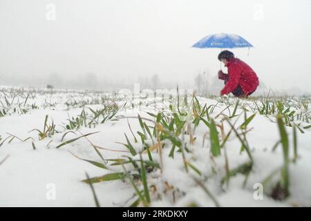 Bildnummer: 54965742  Datum: 28.02.2011  Copyright: imago/Xinhua (110228) -- LIAOCHENG, Feb. 28, 2011 (Xinhua) -- A farmer checks wheat seedlings in a snow-clad wheat field at Chenzhuang Village in Liaocheng City, east China s Shandong Province, Feb. 28, 2011. On Monday, snowfalls hit many drought-stricken provinces in northern and eastern China and brought more precipitation to these parched regions. (Xinhua/Zhang Zhenxiang) (ljh) #CHINA-SNOW-DROUGHT-HIT REGIONS (CN) PUBLICATIONxNOTxINxCHN Gesellschaft Wirtschaft Landwirtschaft Jahreszeit Winter Schnee Feld Acker kbdig xo0x xsk 2011 quer Stock Photo