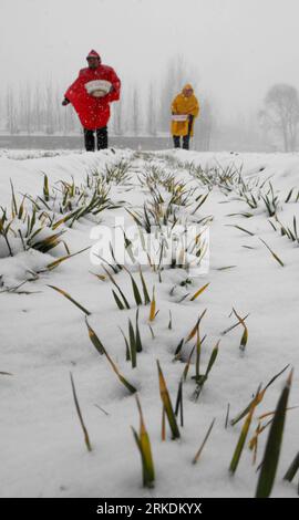 Bildnummer: 54965739  Datum: 28.02.2011  Copyright: imago/Xinhua (110228) -- ANYANG, Feb. 28, 2011 (Xinhua) -- Farmers cast fertilizer in a snow-clad wheat field at Majing Village in Anyang City, central China s Henan Province, Feb. 28, 2011. On Monday, snowfalls hit many drought-stricken provinces in northern and eastern China and brought more precipitation to these parched regions. (Xinhua/Liu Xiaokun) (ljh) #CHINA-SNOW-DROUGHT-HIT REGIONS (CN) PUBLICATIONxNOTxINxCHN Gesellschaft Wirtschaft Landwirtschaft Jahreszeit Winter Schnee Feld Acker kbdig xo0x xsk 2011 hoch     Bildnummer 54965739 Da Stock Photo