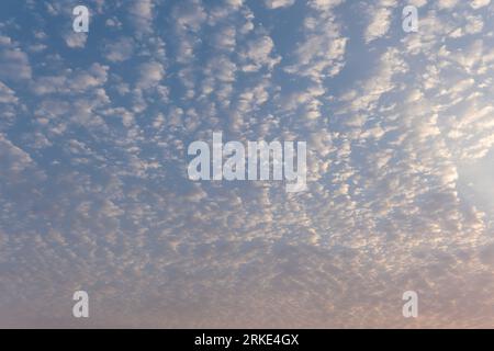 Ein fesselndes Foto fängt den ruhigen Abendhimmel ein, während die absteigende Sonne die Welt in ein warmes, goldenes Licht taucht. Die Farben des Himmels sind atemberaubend Stockfoto