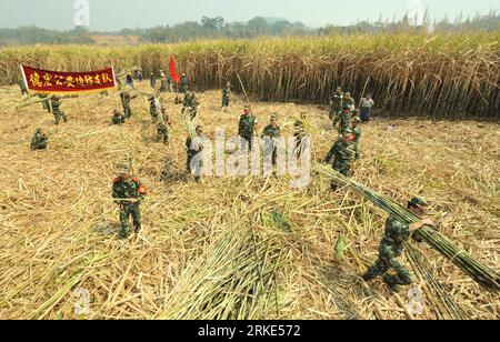Bildnummer: 55052142  Datum: 22.03.2011  Copyright: imago/Xinhua (110322) -- YINGJIANG, March 22, 2011 (Xinhua) -- Members of border defense force help villagers to harvest sugarcanes at a field in Jieman Village, Yingjiang County, southwest China s Yunnan Province, March 22, 2011. Some 100 tons of sugarcanes were rushed to be harvest in two villages of the quake-hit Yingjiang Tuesday, by which local farmers could reduce loss caused the catastrophe. (Xinhua/Chen Haining) (hdt) CHINA-YINGJIANG-SUGARCANE-HARVEST (CN) PUBLICATIONxNOTxINxCHN Wirtschaft Landwirtschaft Soldaten Militär Bauern kbdig Stock Photo