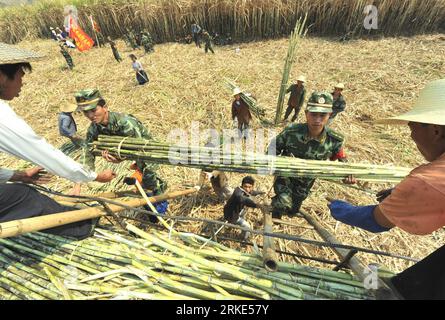 Bildnummer: 55052143 Datum: 22.03.2011 Copyright: imago/Xinhua (110322) -- YINGJIANG, 22. März 2011 (Xinhua) -- Mitglieder der Grenzschutztruppe helfen Dorfbewohnern bei der Zuckergewinnung auf einem Feld im Dorf Jieman, Kreis Yingjiang, Provinz Yunnan im Südwesten Chinas, 22. März 2011. Rund 100 Tonnen Zuckerstangen wurden in zwei Dörfern des vom Beben heimgesuchten Yingjiang Tuesday zur Ernte gebracht, wodurch die örtlichen Bauern die Verluste reduzieren konnten, die die Katastrophe verursachten. (Xinhua/Chen Haining) (hdt) CHINA-YINGJIANG-SUGARCANE-HARVEST (CN) PUBLICATIONxNOTxINxCHN Wirtschaft Soldaten Militär Bauern kbdig Stockfoto