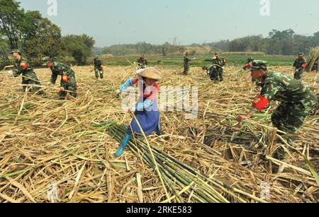 Bildnummer: 55052145  Datum: 22.03.2011  Copyright: imago/Xinhua (110322) -- YINGJIANG, March 22, 2011 (Xinhua) -- Members of border defense force help villagers to harvest sugarcanes at a field in Jieman Village, Yingjiang County, southwest China s Yunnan Province, March 22, 2011. Some 100 tons of sugarcanes were rushed to be harvest in two villages of the quake-hit Yingjiang Tuesday, by which local farmers could reduce loss caused the catastrophe. (Xinhua/Chen Haining) (hdt) CHINA-YINGJIANG-SUGARCANE-HARVEST (CN) PUBLICATIONxNOTxINxCHN Wirtschaft Landwirtschaft Soldaten Militär Bauern kbdig Stock Photo