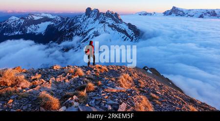 FRANKREICH. HAUTES-ALPES (05). DEVOLUY-MASSIV: WOLKENMEER ÜBER DEM COL DU NOYER, WAPPEN VON PIC PONSIN (2335M) UND PIC DE BURE (2709M) Stockfoto