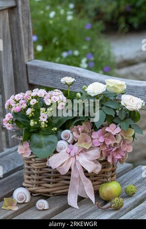 Blassrosa flammende katy und Rose im Korb als Blumendekoration Stockfoto