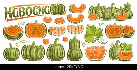 Vector Kabocha Set, große Sammlung von Illustration grünen Kürbis vegane Stillleben Kompositionen, Gruppe von ausgeschnittenen Kabocha mit rohen Samen, gehackte Squas Stock Vektor