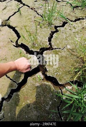 Bildnummer: 55338858  Datum: 11.05.2011  Copyright: imago/Xinhua (110511) -- YUEYANG, May 11, 2011 (Xinhua) -- Photo taken on May 11, 2011, shows large cracks caused by a severe drought in the bed of the Dongting Lake in Yueyang City, central China s Hunan Province, May 11, 2011. A severe drought continued to plague in Hunan, disrupting drinking water supply to more than 320,000 and drying up 4.5 million mu (3,000 square kilometers) of farmland, according to statistics from the local authorities. (Xinhua/Long Hongtao) (llp) CHINA-HUNAN-DROUGHT (CN) PUBLICATIONxNOTxINxCHN Wirtschaft Dürre Trock Stock Photo