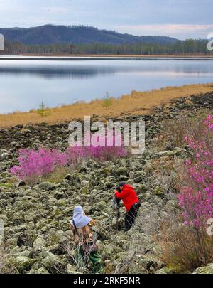 Bildnummer: 55349157  Datum: 14.05.2011  Copyright: imago/Xinhua HOHHOT, May 15, 2011 (Xinhua) -- Photographers take pictures of the azalea blossom beside a lake in the forest area of the Greater Hinggan Mountains in the Oroqen Autonomous Banner of north China s Inner Mongolia Autonomous Region, May 14, 2011. (Xinhua/Zhang Chunli) (llp) CHINA-INNER MONGOLIA-GREATER HINGGAN MOUNTAINS-AZALEA-BLOOM (CN) PUBLICATIONxNOTxINxCHN Pflanzen kbdig xkg 2011 hoch o0 Azalee Blume blühen Totale Fotograf fotografieren    Bildnummer 55349157 Date 14 05 2011 Copyright Imago XINHUA Hohhot May 15 2011 XINHUA Pho Stockfoto