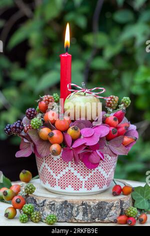 Gartenanlage mit einem Apfel, einer roten Kerze, Rose Hüften, Hortensienblüten und Brombeeren Stockfoto