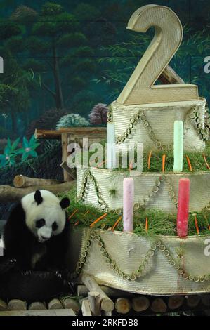 Bildnummer: 55402761  Datum: 27.05.2011  Copyright: imago/Xinhua CHIANG MAI, May 27, 2011 (Xinhua) -- Panda Lin Ping celebrates its second birthday at Chiang Mai Zoo in Chiang Mai, Thailand, May 27, 2011. The baby panda Lin Ping is the first panda cub born in Thailand and is child of giant pandas Chuang Chuang and Lin Hui from China. (Xinhua/Rachen Sageamsak) (djj) THAILAND-CHIANG MAI-PANDA-BIRTHDAY PUBLICATIONxNOTxINxCHN Gesellschaft Tiere Geburtstag Pandabär Panda Bär kbdig xdp premiumd 2011 hoch o0 Geburtstagstorte Torte Geburtstagskuchen Kuchen    Bildnummer 55402761 Date 27 05 2011 Copyri Stock Photo